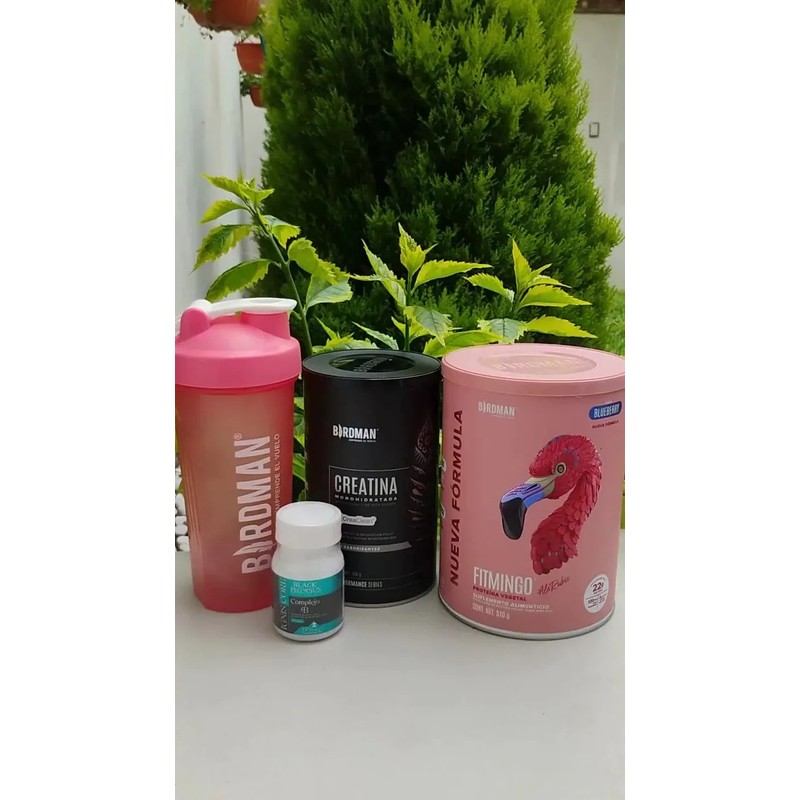 Birdman Fitmingo 510g Creatina 450g Shaker Complejo B