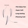 MDC LASHES Promade Wispy Loose Eyelash Extensions 1000fans 0.05-0.07 Thickness,