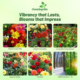 Outsidepride Opera Mix Dahlia Seeds for Planting - 400 Pcs Annual, Easy to Grow, Season-Long Flower Seeds with Colorful Blooms for Containers, Pots, Borders, & Gardens, Suitable as Cut Flower