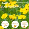 WT WEETEE Raw Dandelion Root Tea Bags 100 Count, Unprocessed,