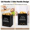 Candco Potato and Onion Storage Bin, Set of 2 Vegetable