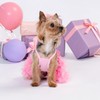 Fitwarm Sparkly Dog Tiered Dress, Fancy Dog Clothes for Small