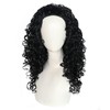 JoneTing Long Curly Wigs for Men Black Curly Wigs Funny