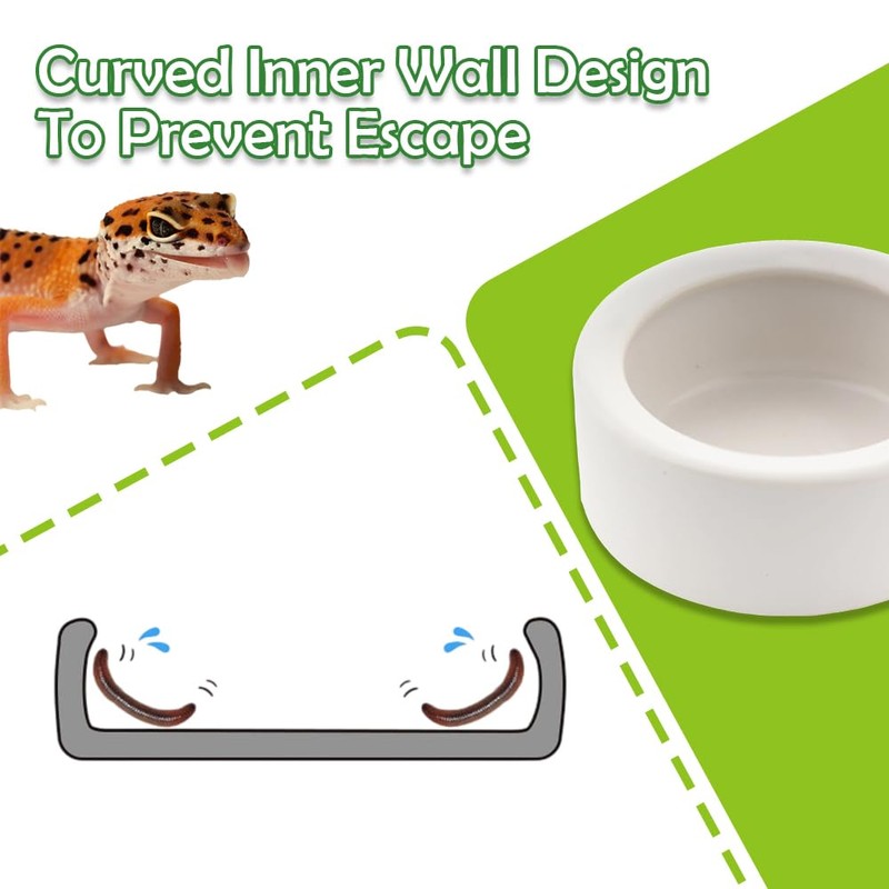 3 Pack Small Reptile Feeding Bowl Ceramic Food and Water