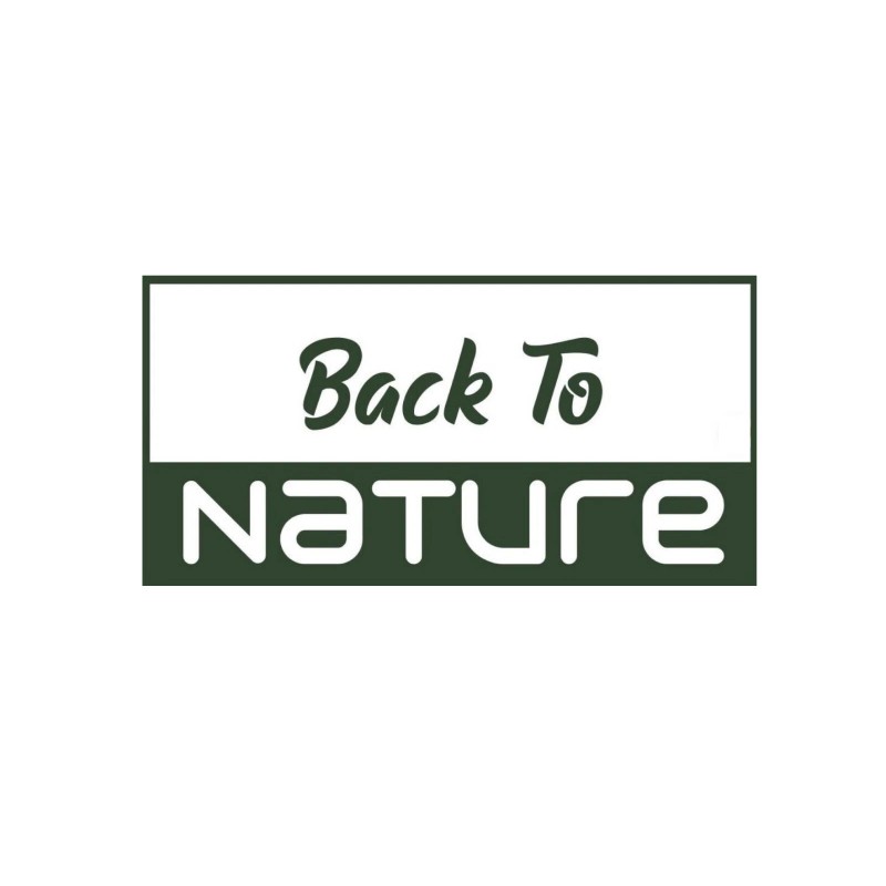 Back To Nature Seed Company White Scallop Squash Seeds -