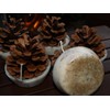 Kindlecone - Natural pine cone firelighters - Autumn Mist -