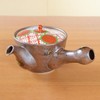 Stylish Stainless Steel Teapot with Tea Strainer, Made in Japan,
