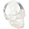 Clear Translucent Skull Collectible Figurine