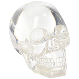 Clear Translucent Skull Collectible Figurine