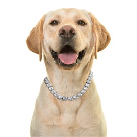 Halukakah Gold Chain Clustered Diamond for Large Dogs, Tennis Chain Necklace Collar Platinum White Gold Plated VVS Quality Lab Diamonds Clear Colour 50 cm Size with Gift Box Decoration Only