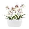 elho brussels orchid duo 25cm flowerpot - white