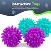 Petite Paws Spiky Dog Ball 1.8 Inch Squeaky Toy for