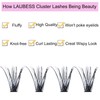 LAUBESS Pestañas Postizas Individuales, Extensiones De Pestañas Postizas, Pestañas Postizas