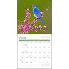 Songbirds Mini Wall Calendar 2026 7" x 7"