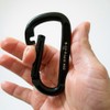 DanRaw Pro Heavy-Duty Black Carabiner Clips (2-Pack or 4-Pack) –