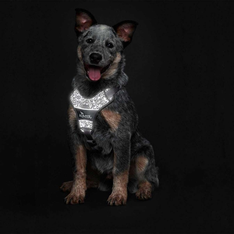 HUNTER Divo Reflect Harness Black/Grey Size L-XL