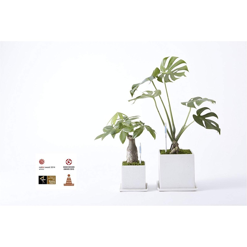 Sustee Aqua Meter, Moisture Sensor Refill Insert, Large Style, 4