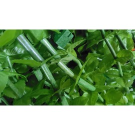 FlavorThings Tropical Flower Curtain Fabulush Fabric Flowers Beaded Bamboo Curtain or Doorway Room Divider Party Wedding Kids Bedroom Decorations- Green Leaves with Green Beads