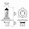 HELLA H4 100/80WTB High Wattage Bulbs, 12V