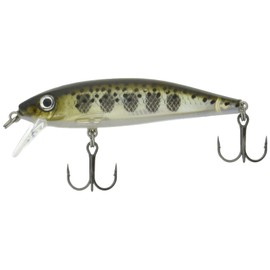 Rapala X-Rap CountDown Lure with Two No. 10 Hooks, 0.6-1.2 m Swimming Depth, 5 cm Size, Muddler