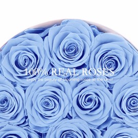FIACO Valentines Day Gifts for Her Preserved Flowers in a Box-12 Forever Real Rose Flowers for Delivery Birthday Gifts for Women Mom Wife Girlfriend Fresh Flowers Eternal Rose Blue