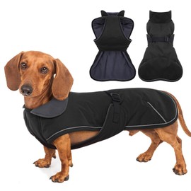 MORVIGIVE Windproof Waterproof Dog Coat for Dachshund -Black,XSmall- Miniature Dachshund Clothes, Small Dog Coat with Harness Built in, Reflective Dachshund Jacket with Buckle Closure