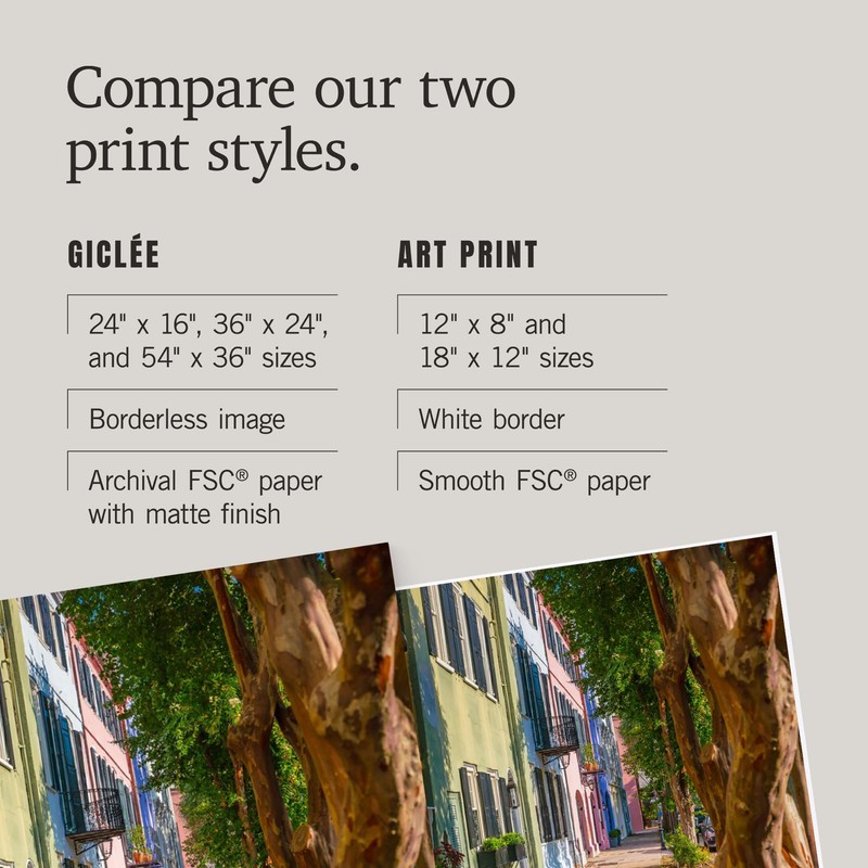 Lantern Press 16x24 Inch Giclee Print, Charleston, South Carolina, Rainbow