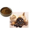 흑마늘농축분말 100g Black Garlic Concentrated Powder 100g