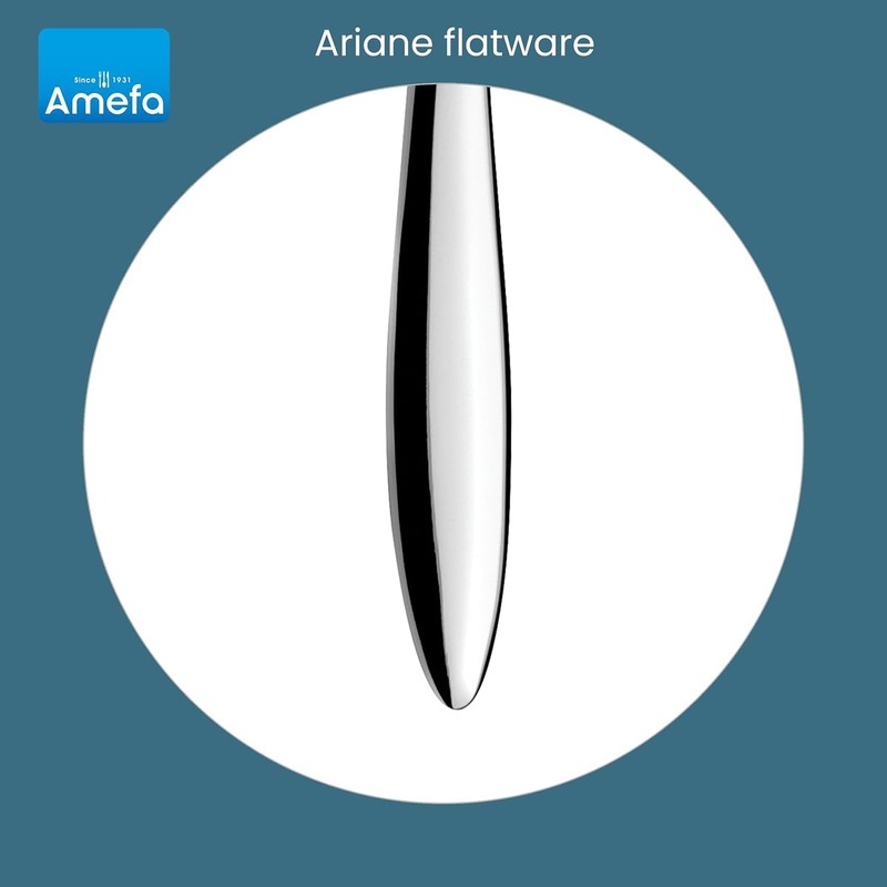 Amefa Venus 20-Piece Flatware, Set for 4 – Stainless Steel