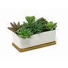 Rectangular Long White Ceramic Succulent Planter Pot with Drainage Hole