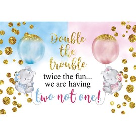 Leowefowa Double The Trouble Twice The Fun We are Having Baby Shower Backdrop 10x7ft Twins Baby Shower Background for Photography Gender Reveal Party Banner Photo Booth Props