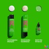 Matrix Haarshampoo für trockenes bis sehr trockenes Haar, Mit Avocado-Öl