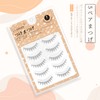 LASHIDOL false eyelashes, natural eyelashes, false eyelashes, corners of eyes,
