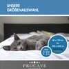 Procave Mattress Cover Terry Cloth Unquilted