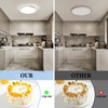 EASY EAGLE LED Ceiling Light, Flat, Round Ceiling Light, 4000