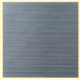 TRUSCO ACS30-24-SV Collision Prevention Seal, Square 1.2 in (30 mm) Hairline, Silver Gloss, 24 Pieces