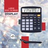 CATIGA Desktop Calculator (2 Pack) 12 Digit with Large LCD