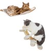 3MNSCD Cat Hammock Wall Mounted Cat Shelf with Steps -