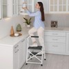 BONTEC 2-Step Ladder, Folding Step Stools for Adults with Wide