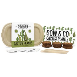 Gift Republic Cactus Plants Growing Kit Sow & Co Biodegradable Grow Kit Gardening Gift Cacti Seeds No Soil Eco-Friendly Growing Set Kids, Teens, Adults