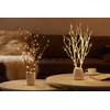 Hairui Twig Branches with Fairy LED Lights 18IN 70LED Battery