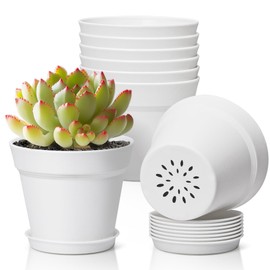 T4U 4 Inch Plant Pots 8-Pack, Small Flower Pots with Drainage Hole and Saucer, Decorative Nursery Pot Bulk for African Violet, Snake Plant, Succulent, Herb and Plants Indoor (8 Pcs 4" Pots, White)