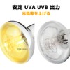 TEKIZOO Solar Glow UV Ultraviolet Light Basking UVB Reptile Light