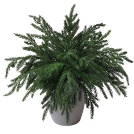 ZFProcess 10PCS Christmas Norfolk Pine Stems, Real Touch 19 Inch Artificial Norfolk Pine Branches, Fake Greenery Pine Picks for Vase DIY Holiday Winter Table Indoor Decor(Green)