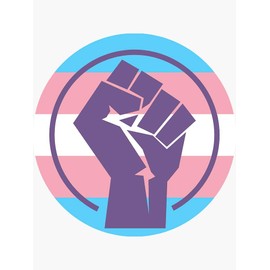 Resistance Fist Trans Flag - Sticker Graphic - Political Funny Bumper Sticker for Cars Windows Trucks Y