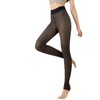 Fleece Lined Tights Womens Winter Tights Fake Translucent Pantyhose Warm