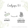 Cordyceps Sinensis Vegavero® | 650 mg (10:1) CS-4 Extract 40%
