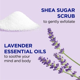 Dr Teal's Shea Sugar Scrub, Lavender Essential Oils, 19 oz (Pack of 3)