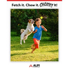 ALPI Chomp Ball - Durable Chew Toys for Dogs & Other Pets - Stimulating Dog Toys for Aggressive Chewers - Soft Dog Chews - 3-Pack, Neon Yellow