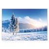XXL Poster 100 x 70 cm (S-824) Deep Snow Covered